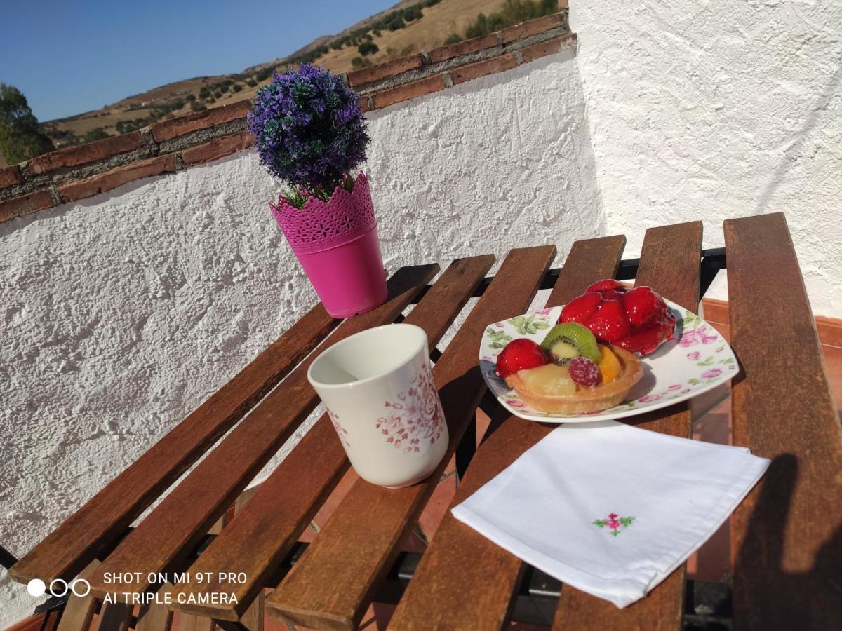 카사벌메야 El Lagar De Pepe B&B 외부 사진