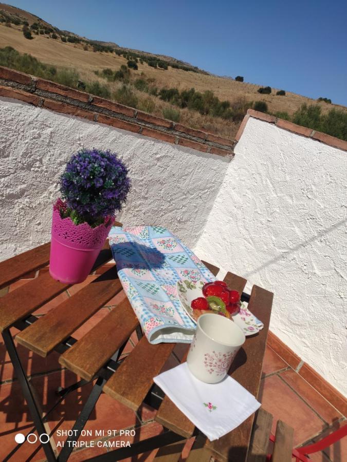카사벌메야 El Lagar De Pepe B&B 외부 사진